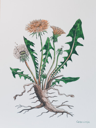 Peinture intitulée "Dandelion" par Olena Sielchonok, Œuvre d'art originale, Aquarelle