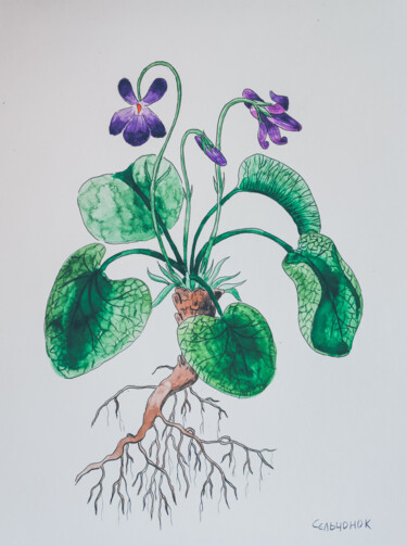 Schilderij getiteld "Violet" door Olena Sielchonok, Origineel Kunstwerk, Aquarel
