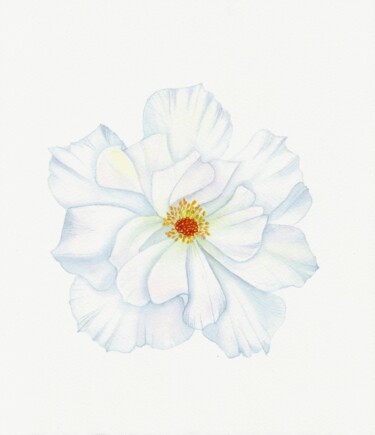 "Spring rosehip flow…" başlıklı Tablo Olena Zhylenko tarafından, Orijinal sanat, Suluboya