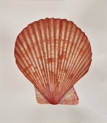 Pintura titulada "Shell Mimachlamys g…" por Olena Zhylenko, Obra de arte original, Acuarela