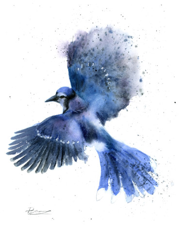 Картина под названием "Blue Jay in Flight" - Paintispassion, Подлинное произведение искусства, Акварель