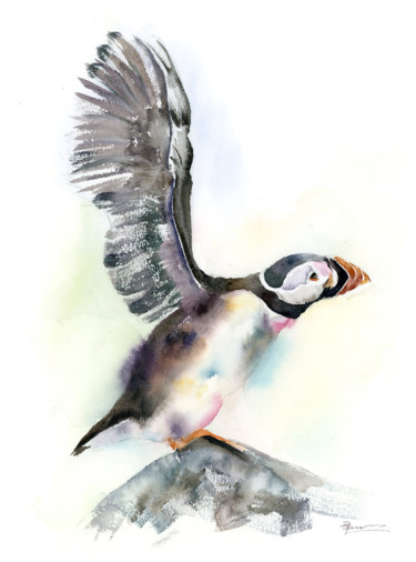 Painting titled "Puffin - Original W…" by Paintispassion, Original Artwork, Watercolor