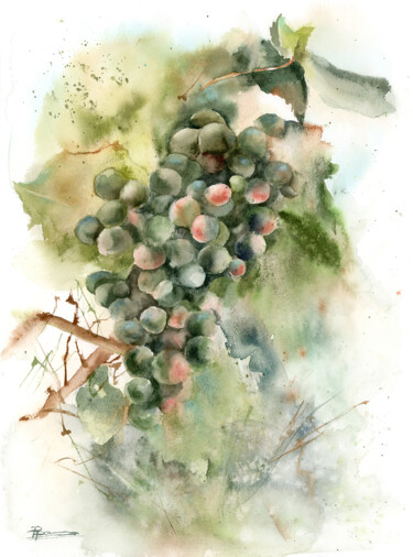 Painting titled "Grape branch" by Paintispassion, Original Artwork, Watercolor