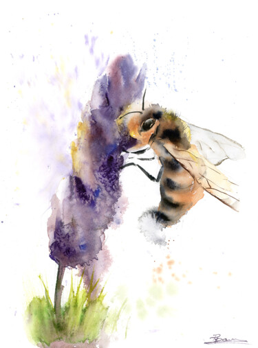 Painting titled "Honey bee and purpl…" by Paintispassion, Original Artwork, Watercolor