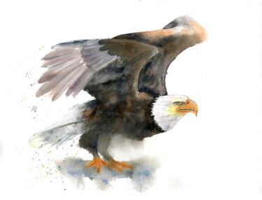 Schilderij getiteld "Eagle" door Paintispassion, Origineel Kunstwerk, Aquarel