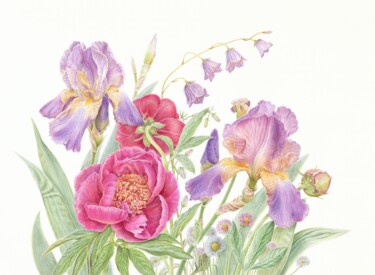 Malarstwo zatytułowany „Peonies and Irises,…” autorstwa Olga Akimtseva, Oryginalna praca, Akwarela