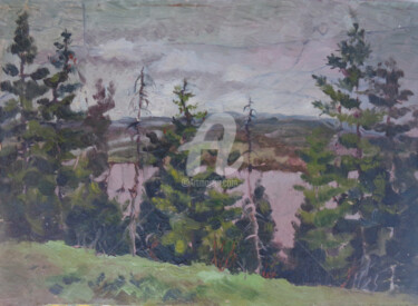 Painting titled "Stern river" by Olga Bagina, Original Artwork, Oil