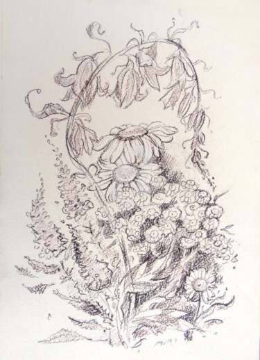 Drawing titled "Wild flowers" by Olga Bagina, Original Artwork, Pencil