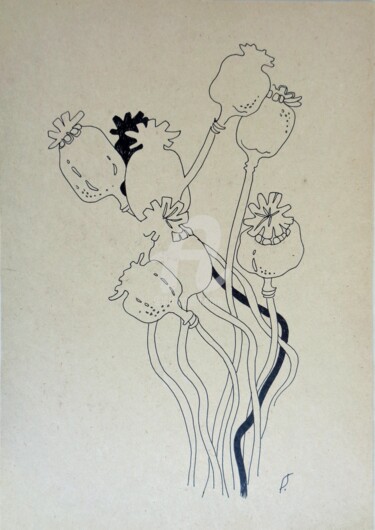 Drawing titled "Poppy capsules" by Olga Bagina, Original Artwork, Ballpoint pen