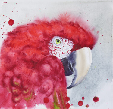 Pintura intitulada "Scarlet macaw head…" por Olga Beliaeva, Obras de arte originais, Aquarela