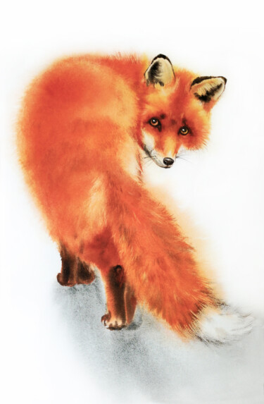 Peinture intitulée "Red Fox with Sly Ey…" par Olga Beliaeva, Œuvre d'art originale, Aquarelle