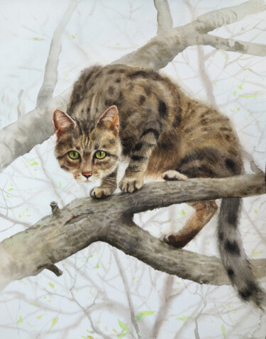 Malerei mit dem Titel "Country cat climbin…" von Olga Beliaeva, Original-Kunstwerk, Aquarell