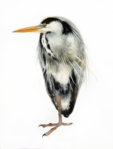 "Grey Heron Standing…" başlıklı Tablo Olga Beliaeva tarafından, Orijinal sanat, Suluboya