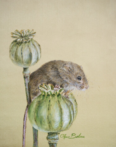 Painting titled "Harvest Mouse 2 - S…" by Olga Belova, Original Artwork, Pigments