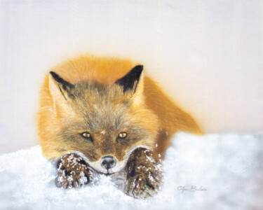 Painting titled "Dreamy Fox" by Olga Belova, Original Artwork, Pigments