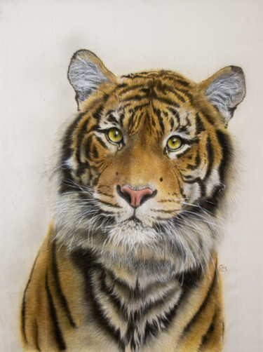 Schilderij getiteld "Tiger Naresh – Silk…" door Olga Belova, Origineel Kunstwerk, pigmenten