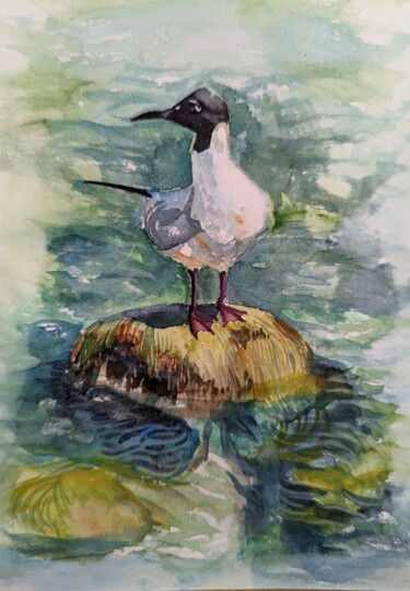Painting titled "Seagull." by Olga Beltsova, Original Artwork, Watercolor