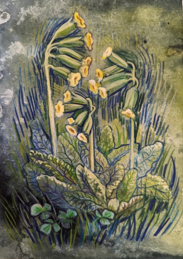 Drawing titled "Spring primrose flo…" by Olga Beltsova, Original Artwork, Watercolor