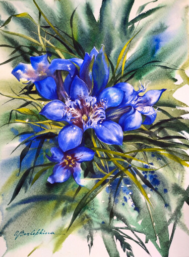 Peinture intitulée "Gentiana - blue mou…" par Olga Bezlepkina, Œuvre d'art originale, Aquarelle