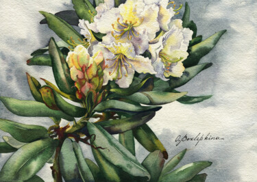 Peinture intitulée "Rhododendron #04" par Olga Bezlepkina, Œuvre d'art originale, Aquarelle