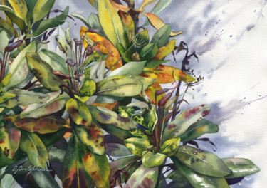 Картина под названием "Rhododendron #06" - Olga Bezlepkina, Подлинное произведение искусства, Акварель