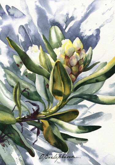 Peinture intitulée "Rhododendron #08" par Olga Bezlepkina, Œuvre d'art originale, Aquarelle