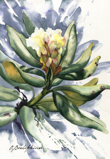 Painting titled "Rhododendron #09" by Olga Bezlepkina, Original Artwork, Watercolor