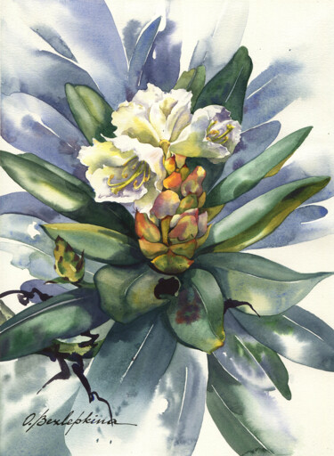 Painting titled "Rhododendron #10" by Olga Bezlepkina, Original Artwork, Watercolor