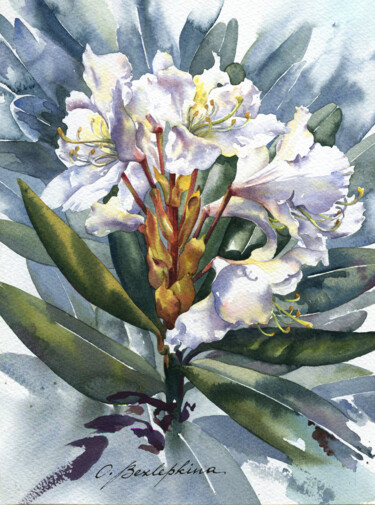 Schilderij getiteld "Rhododendron 11" door Olga Bezlepkina, Origineel Kunstwerk, Aquarel