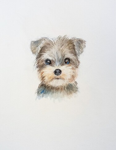 Painting titled "Yorkshire Terrier…" by Olga Billmaier, Original Artwork, Watercolor