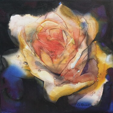 Malerei mit dem Titel "Rose & Water Drops" von Olga Brink, Original-Kunstwerk, Aquarell