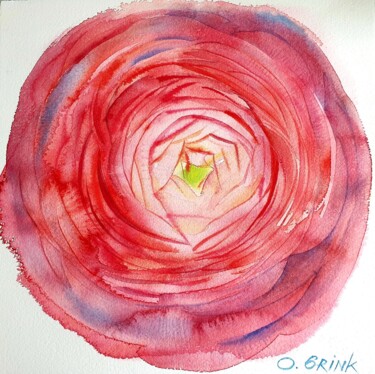 Painting titled "Ranunculus" by Olga Brink, Original Artwork, Watercolor