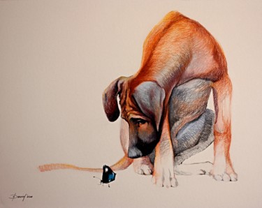 Dibujo titulada "Rhodesian Rigeback" por Olga David, Obra de arte original, Pastel