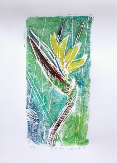 Incisioni, stampe intitolato "bird of paradise fl…" da Olga David, Opera d'arte originale, Monotipo