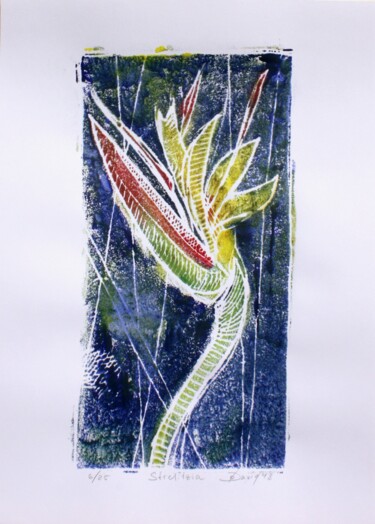 Prenten & gravures getiteld "bird of paradise fl…" door Olga David, Origineel Kunstwerk, Monotype