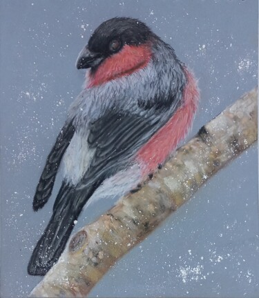 Peinture intitulée "Bullfinch" par Olga Larina, Œuvre d'art originale, Pastel