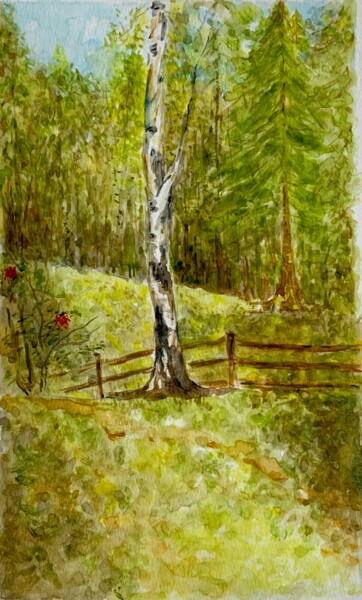 Pittura intitolato "Birch" da Olga Liutova-Amplatz, Opera d'arte originale, Acquarello