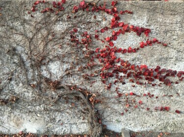 Photographie intitulée "Flèches rouges" par Olga Liutova-Amplatz, Œuvre d'art originale, Photographie numérique