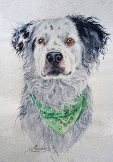 Pintura intitulada "Portrait of a pet b…" por Olga Matyunina, Obras de arte originais, Aquarela