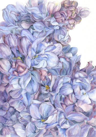 Painting titled "Scent of spring" by Olga Matyunina, Original Artwork, Watercolor
