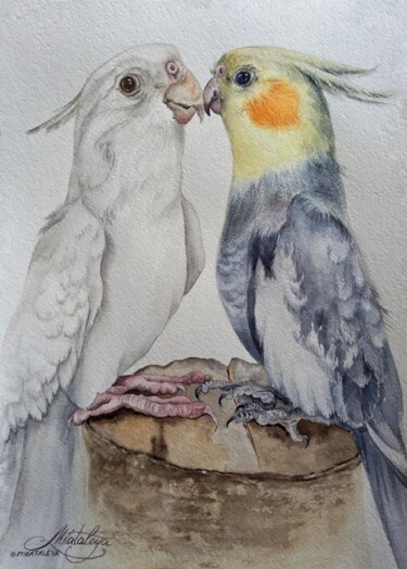 Malerei mit dem Titel "Love parrots" von Olga Matyunina, Original-Kunstwerk, Aquarell