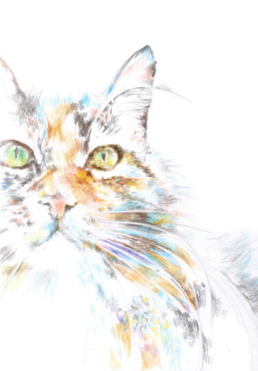 Рисунок под названием "Portrait of the cat…" - Olga Osipenko (Mariaiva), Подлинное произведение искусства, Цветные карандаши
