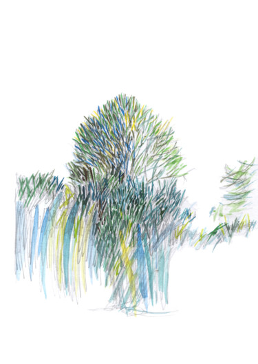 Desenho intitulada "Green tree in my ya…" por Olga Osipenko (Mariaiva), Obras de arte originais, Aquarela