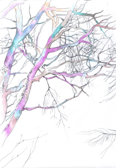 Arte digitale intitolato "A tree branch in my…" da Olga Osipenko (Mariaiva), Opera d'arte originale, Matite colorate