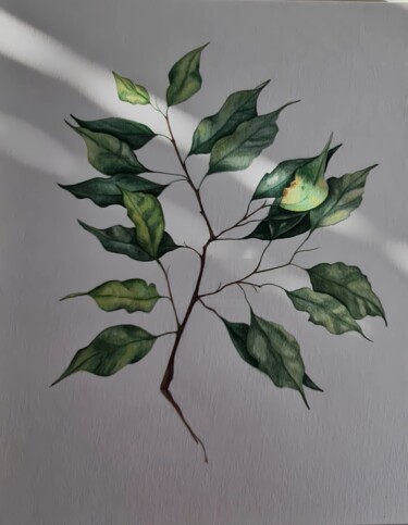 Malerei mit dem Titel "Ficus" von Olga Poruchikova, Original-Kunstwerk, Aquarell
