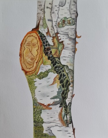 Pintura intitulada "Birch" por Olga Poruchikova, Obras de arte originais, Aquarela