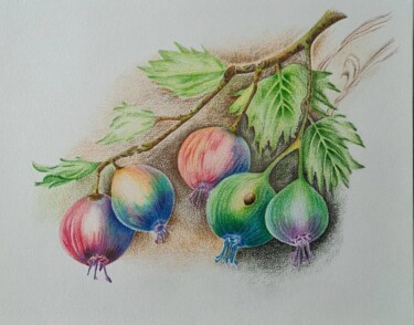 Peinture intitulée "Berries" par Olga Poruchikova, Œuvre d'art originale, Crayon