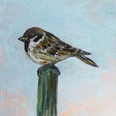 Painting titled "Sparrow" by Olga Strogonova, Original Artwork, Oil