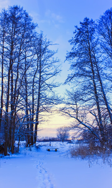 Fotografia intitolato "Winter landscape" da Olga Strogonova, Opera d'arte originale, Fotografia digitale