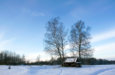 Fotografia intitolato "Winter landscape wi…" da Olga Strogonova, Opera d'arte originale, Fotografia digitale